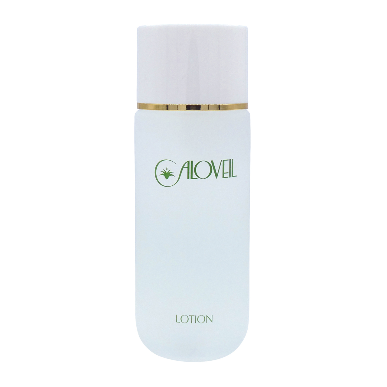 定価 ￥3,300 → ネット特別価格 ￥2,970